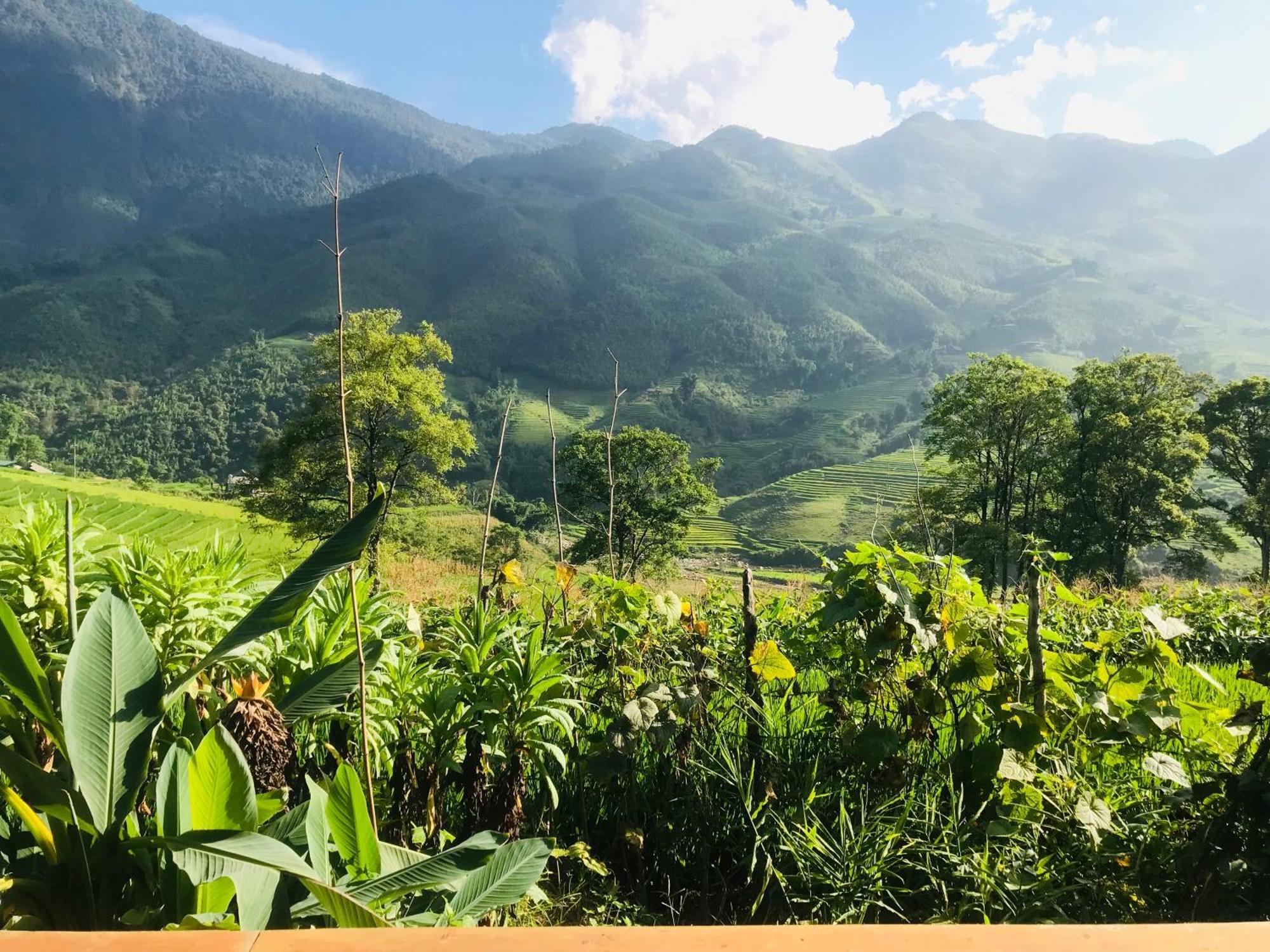 Sapa Hmong Bungalow Homestay Номер фото