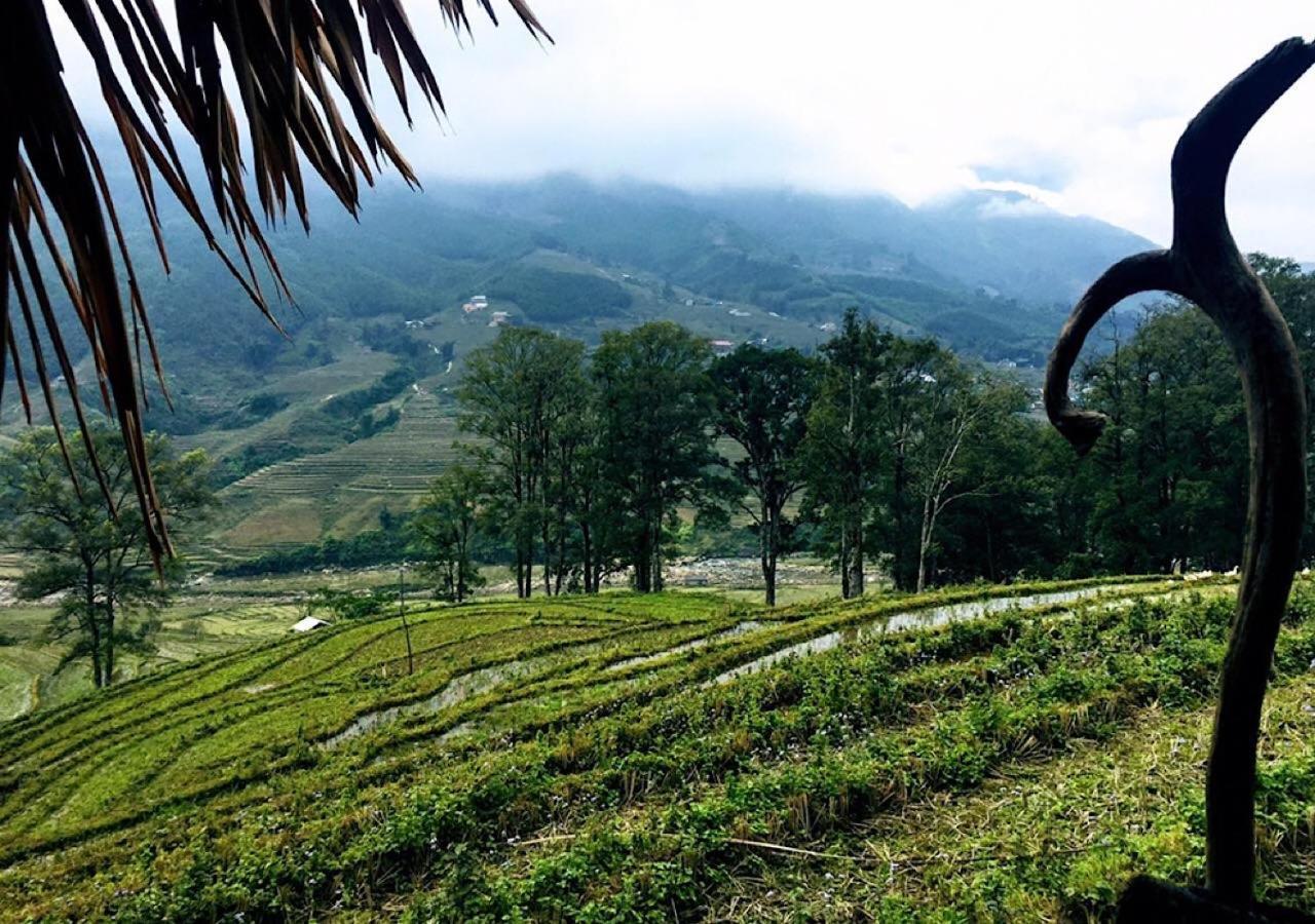 Sapa Hmong Bungalow Homestay Экстерьер фото